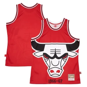 Clásico Único Chicago Bulls Hardwood Classics Blown Out Fashion Jersey Red