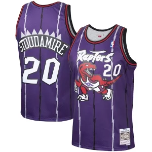 Estupendo Increíble Magnífico Damon Stoudamire Toronto Raptors 1995/96 Hardwood Classics Swingman Jersey Purple