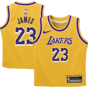 Hermoso LeBron James Los Angeles Lakers Nike Preschool Dri FIT Swingman Player Jersey Icon Edition Gold